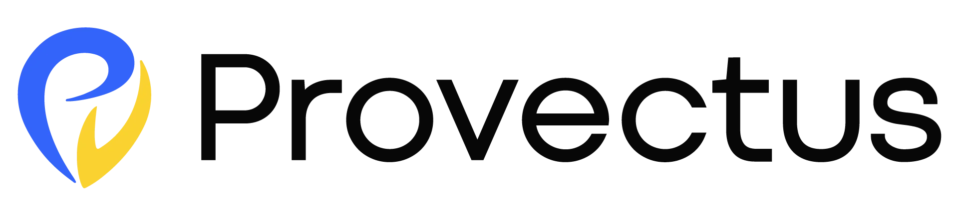 provectuse-logo provectuse-logo